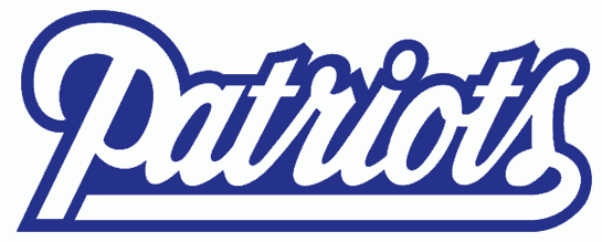 New England Patriots 1993-1999 Wordmark Logo fabric transfer